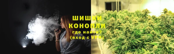 дживик Белокуриха