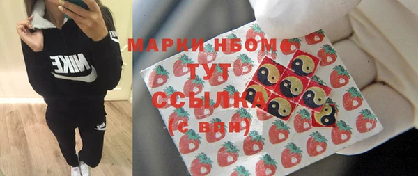 дживик Белокуриха
