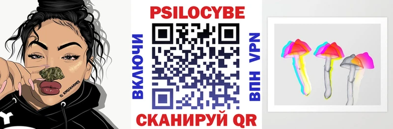 Купить  Каневская  Галлюциногенные грибы Psilocybine cubensis 